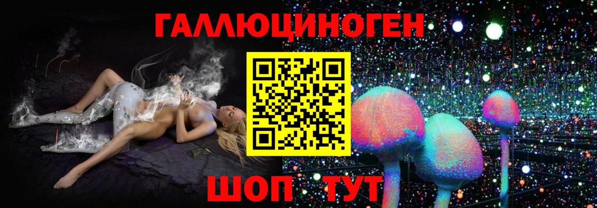 Галлюциногенные грибы мухоморы Магадан